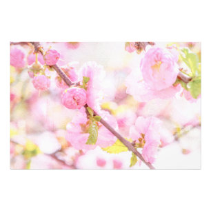 Rosa Sakura-Blume - Blüte der japanischen Kirsche Fotodruck