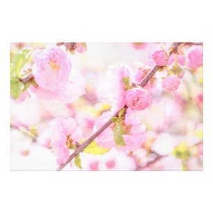 Rosa Sakura-Blume - Blüte der japanischen Kirsche Fotodruck