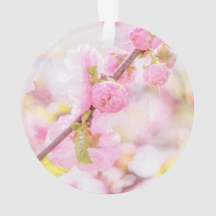 Rosa Sakura-Blume - Blüte der japanischen Kirsche Ornament
