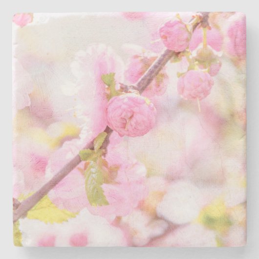 Rosa Sakura-Blume - Blüte der japanischen Kirsche Steinuntersetzer (Vorderseite)