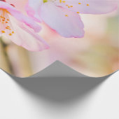 Rosa Sakura-Blume. Der Triumph des Lebens Geschenkpapier (Ecke)