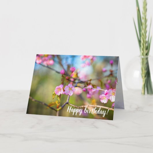 Rosa Sakura Blume im Kirschgarten Karte (Vorderseite)