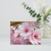 Rosa Sakura-Blume Postkarte (Stehend Vorderseite)