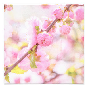 Rosa Sakura-Blüten - Japanische Kirschblüte Fotodruck