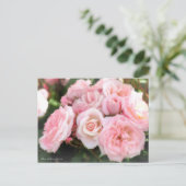 Rosa Sakura-Gasumi: Postkarte (Stehend Vorderseite)