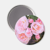 Rosa"Sakura-Gasumi":Rundmagnet Magnet (Vorderseite/Rückseite)
