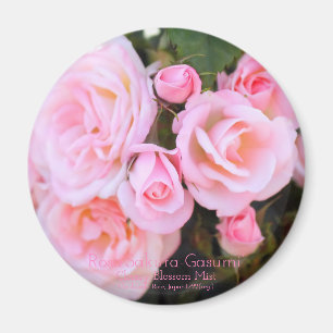 Rosa"Sakura-Gasumi":Rundmagnet Magnet