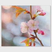 Rosa Sakura vor grauem Hintergrund Geschenkpapier (Flach)