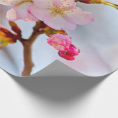 Rosa Sakura vor grauem Hintergrund Geschenkpapier (Ecke)