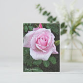Rosa Sakuragai Postkarte (Stehend Vorderseite)