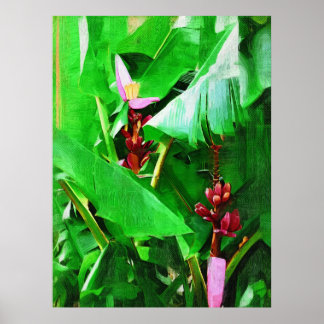 Rosa Samt - Banane Poster