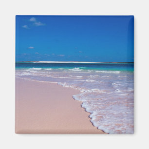 Rosa Sandstrand in Conch Bay, Cat Island, Magnet