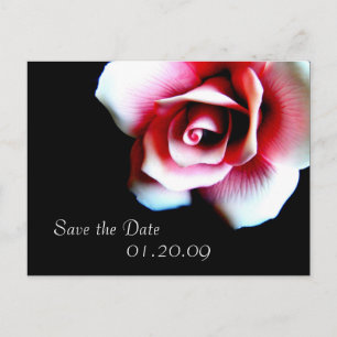 Rosa Save the Date Postkarte