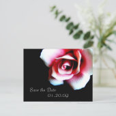 Rosa Save the Date Postkarte (Stehend Vorderseite)