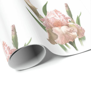 Rosa Scham Iris Geschenkpapier