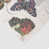 Rosa Schmetterling Decoupage Gewebe Seidenpapier (Detail)