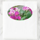 Rosa Schnappdrachenaufkleber Ovaler Aufkleber (Tasche)