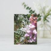 Rosa Schnappschüsse Postkarte (Stehend Vorderseite)