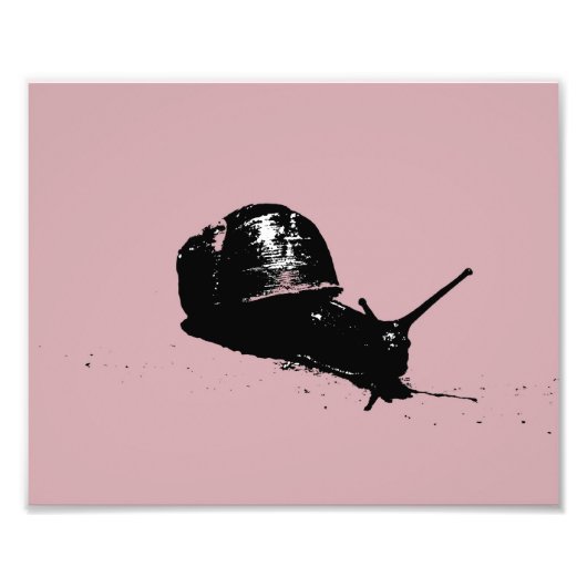 Rosa Schnecke Fotodruck (Vorne)