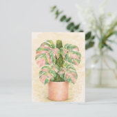 rosa Schottenkaro Monstera-Blatt Schottland Postkarte (Stehend Vorderseite)