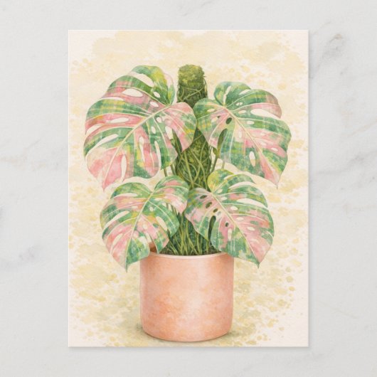 rosa Schottenkaro Monstera-Blatt Schottland Postkarte (Vorderseite)