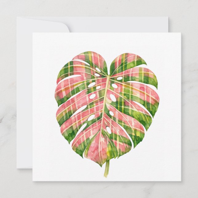 Rosa Schottenmuster Monstera Wasserfarbe Botanisch (Vorderseite)