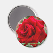 Rosa Schwartze Madonna [Round Magnet] Magnet (Vorderseite/Rückseite)
