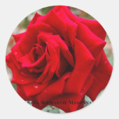 Rosa Schwartze Madonna [Round Seal] Runder Aufkleber (Vorderseite)