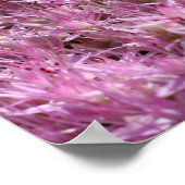 Rosa Schwarz Herbst Blume Nah Poster (Ecke)