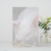 Rosa Schwein-Foto Briefpapier (Stehend Vorderseite)