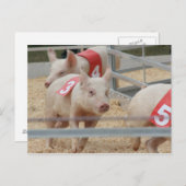 Rosa Schweinefilet Nummer drei Postkarte (Vorne/Hinten)