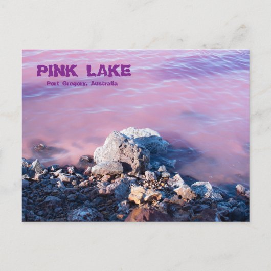 Rosa See Postkarte (Vorderseite)