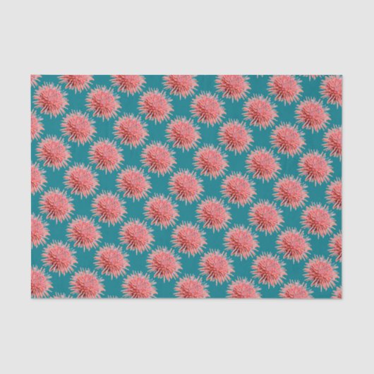 Rosa-See-Urchins auf Aquamarin Seidenpapier (Vorderseite)