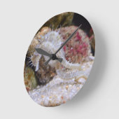 Rosa Seepferd Sea Creation Runde Wanduhr (Winkel)