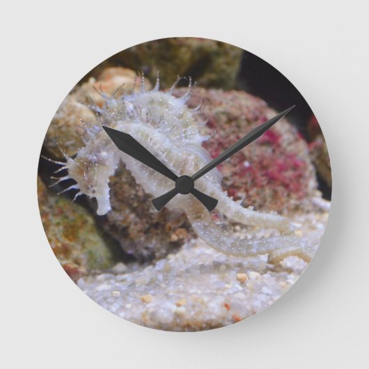 Rosa Seepferd Sea Creation Runde Wanduhr (Vorderseite)