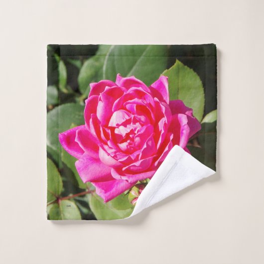 Rosa Set (Waschlappen)