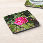 Rosa Set mit 6 Untersetzer aus Kunststoff (Linke Seite)