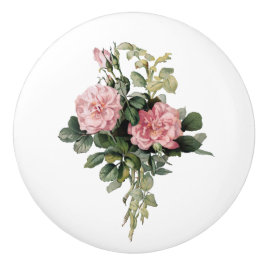 Rosa Shrub Rose Botanische Kunst-Runde Knochen Keramikknauf