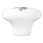 Rosa Shrub Rose Botanische Kunst-Runde Knochen Keramikknauf (Seitenansicht)