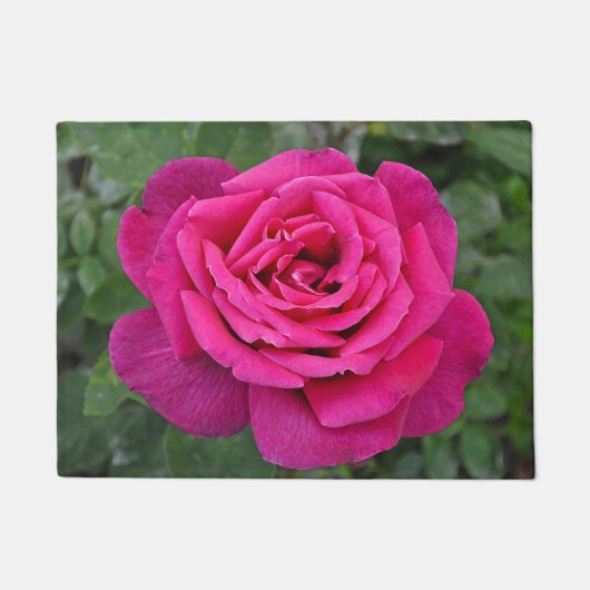 Rosa Single Fußmatte (Vorderseite)
