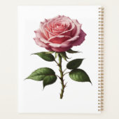 Rosa Single Planer (Rückseite)
