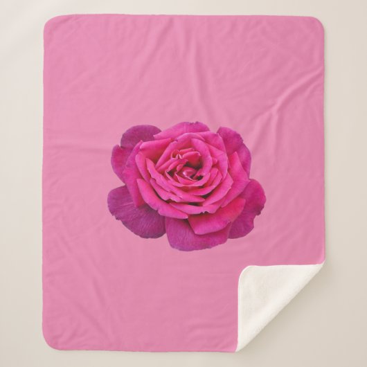 Rosa Single Rose Sherpadecke (Vorderseite)