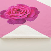Rosa Single Rose Sherpadecke (3/4)