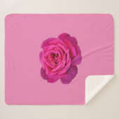 Rosa Single Rose Sherpadecke (Vorderseite (Horizontal))