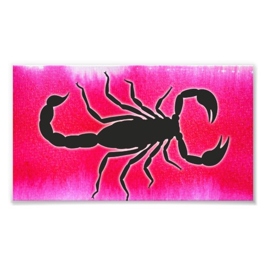 Rosa Skorpio Fotodruck (Vorne)