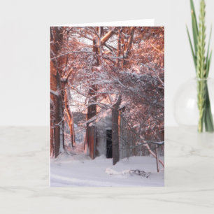 Rosa Sonnenaufgang auf dem Schnee-Winter-Foto Feiertagskarte