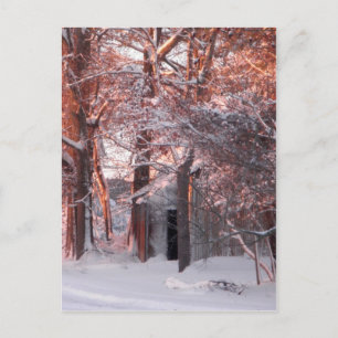Rosa Sonnenaufgang im Winter-Foto des Schnees Postkarte