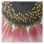 Rosa Sonnenblume Fliese (Vorderseite)