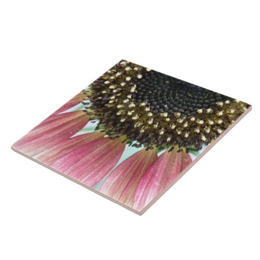 Rosa Sonnenblume Fliese (Seite)