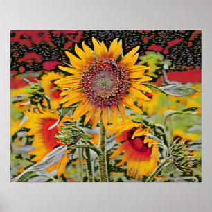 Rosa Sonnenblume Poster